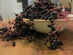 Elderberry, Thyme & Liquorice Linctus